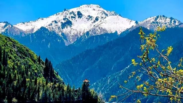 Lawatan Sehari Tasik Tianchi Gunung Tianshan Xinjiang [Hanya Bermain + Tiada Beli-Belah + Pelancongan Berkualiti]