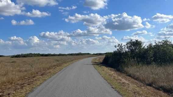 Taman Negara Everglades - lawatan sehari pergi-balik Miami (tidak termasuk tiket masuk)