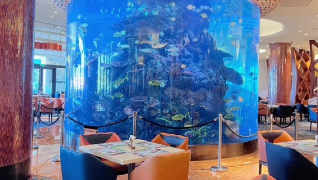 [Oferta especial: cena buffet con desayuno incluido - Buffet de Hengqin] Cupones para cena buffet para dos/tres/padres e hijos/familia en el restaurante buffet de delfines del Hotel Chimelong Hengqin Bay en Zhuhai