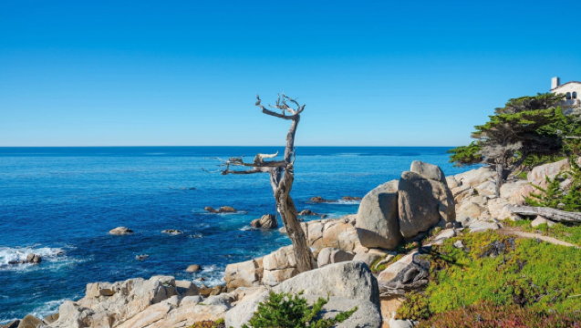 Tagesausflug mit Privattransfer entlang der Highway 1, 17-Mile Drive und Monterey Bay in San Francisco, USA