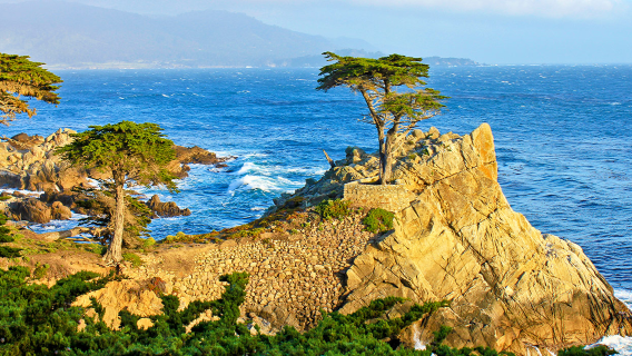 Lawatan Sehari Disesuaikan di San Francisco: 17-Mile Drive + Pekan Dongeng Carmel-by-the-Sea + Lebuhraya 1