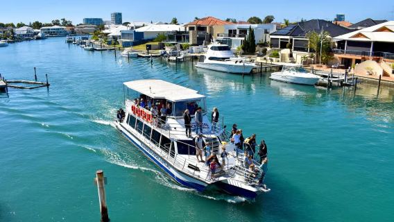 Mandurah: Crucero turístico para avistamiento de delfines