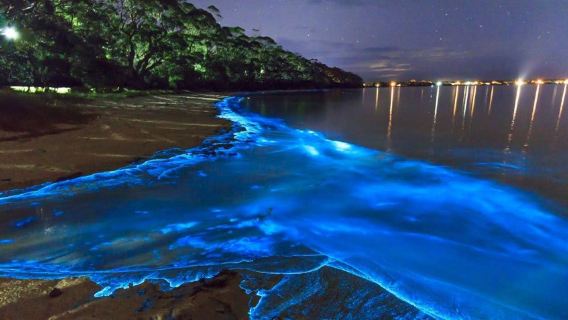 Glowing plankton, James Bond island, Airplane beach and Glass bridge: Excursion