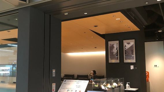 Tokyo Uluslararası Havalimanı POWER LOUNGE VIP Salonu Hizmeti