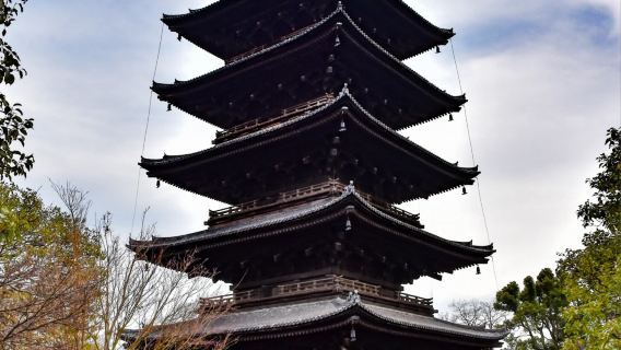 日本東京+淺草寺+秋葉原+澀谷一日遊/行程可調-可定制