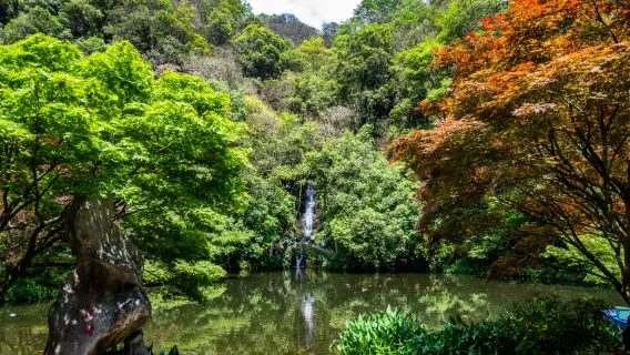 Hangzhou - Excursión de un día: caminata por Jiuxi + Cueva Yanxia + experiencia de té en la aldea Longjing + paseo tranquilo por el templo Faxi