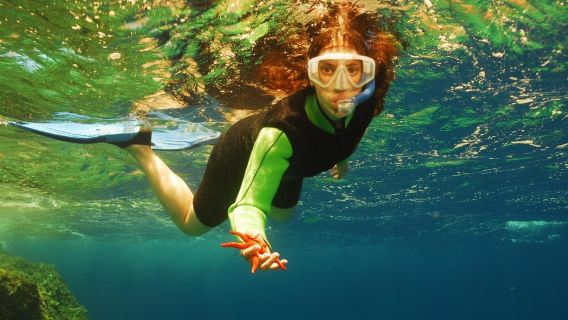 Crete: Kalypso Diving and Snorkeling Center & School