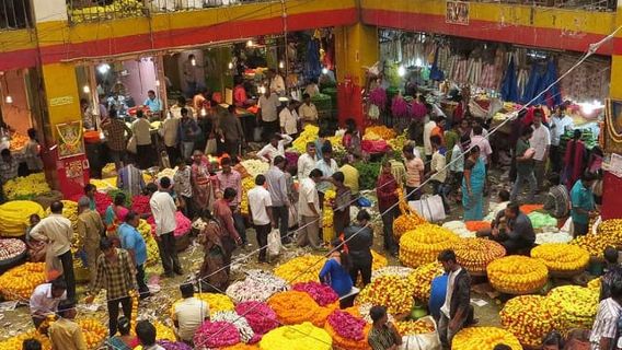 Explore the Iconic Sights of Bangalore in 6 hours