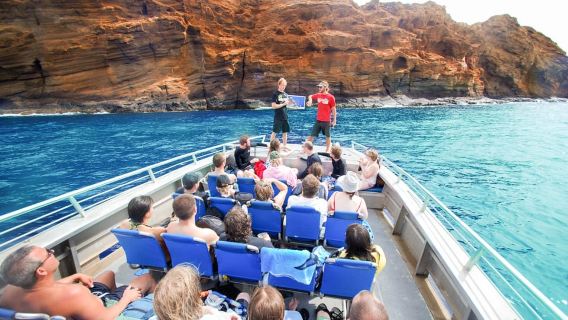 South Maui: Molokini & Turtle Adventure from Maalaea Harbor
