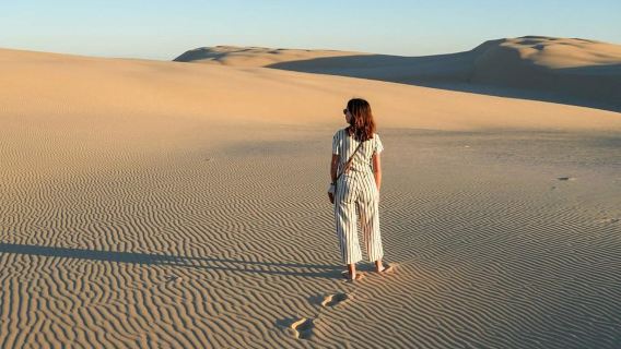 Port Stephens: Unlimited Sandboarding with 4WD Dune Transfer