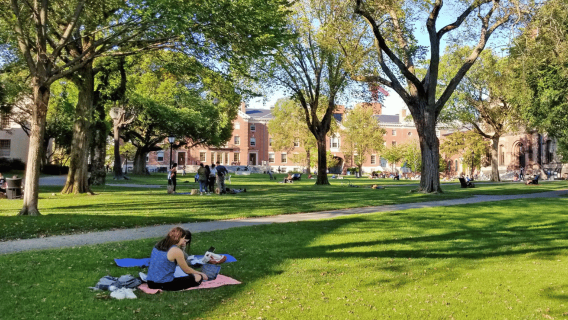 Providence, RI: Small-Group Tour with Local Guide