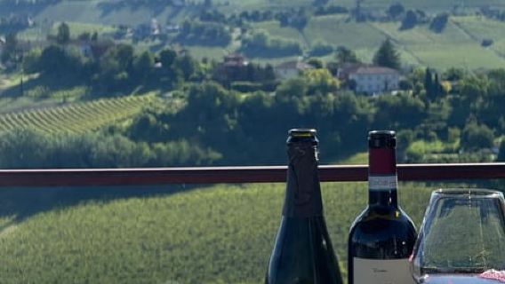 Langhe & Monferrato: Vineyard Tour and Wine Tasting