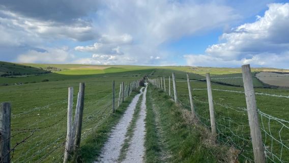 Brighton: Electric Mountain Bike Rental