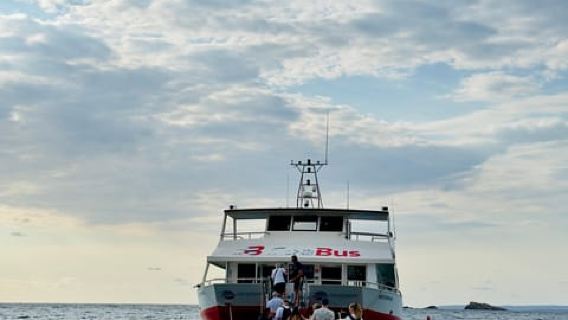Ibiza: Platja d'en Bossa Round-Trip Transfer to Formentera