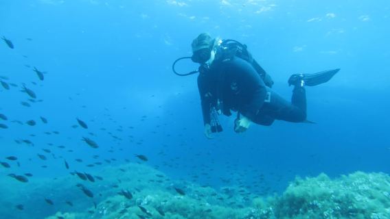 Malta: 2 Scuba Fun Dives for Certified divers