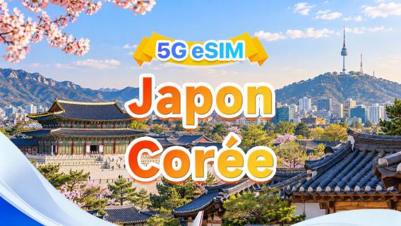 Japon/Corée du Sud 5G eSIM|Double réseau·Prise en charge de ChatGPT & Google Maps|500MB/jour-Volume total 50GB|1-30 jours|Facturation 24/24|QR code