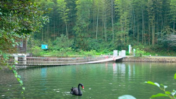 [Bertolak dari Wuxi lawatan sewa peribadi] Muzium Seramik Yixing + Hutan Buluh Yixing + Pekan Tasik Yaohu klasik sehari