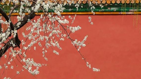 北京香山公園+故宮2-7人英語ツアー【入場チケット・英語ガイド付き解説・送迎サービス付き】