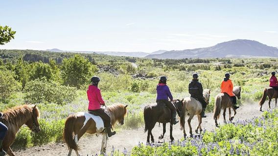 Passeggiata a cavallo con cavalli islandesi attraverso i campi di lava di Hafnarfjörður