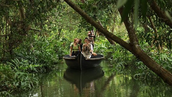 KochiTours
