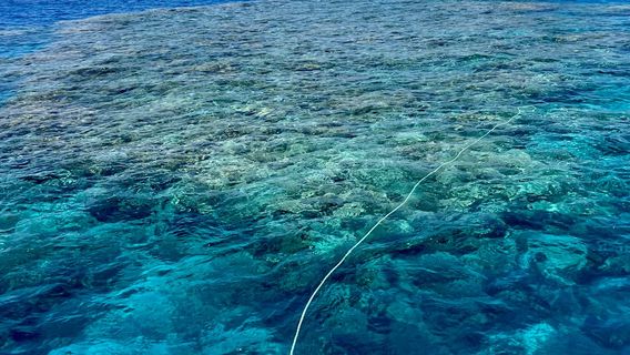 Sharm El SheikhTours