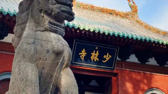 少林寺+龍門石窟一日遊|純玩無購物|市區飯店上門接|天天發團