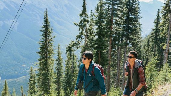 Banff Gondola: Entry Ticket