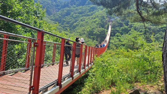 DMZ Tour with Optional Gondola and Suspension Bridge