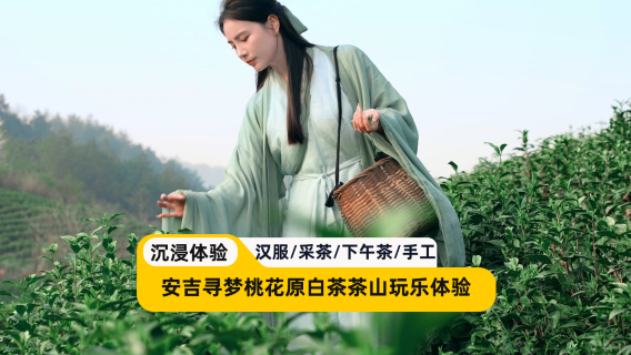 安吉特色體驗