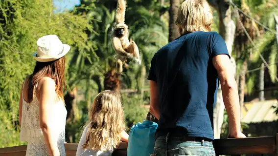 Palmitos Park: Entry Ticket