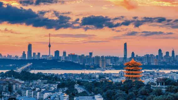 黃鶴樓+長江大橋+黎黃陂路+古德寺一日遊【包車遊1單1團】