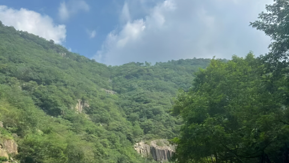 商城日遊