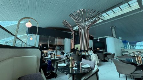 Dubai International Airport VIP lounge pass|transit lounge|VIP transfer overnight|optional dining/shower/rest 4
