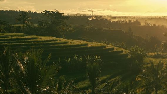 Bali