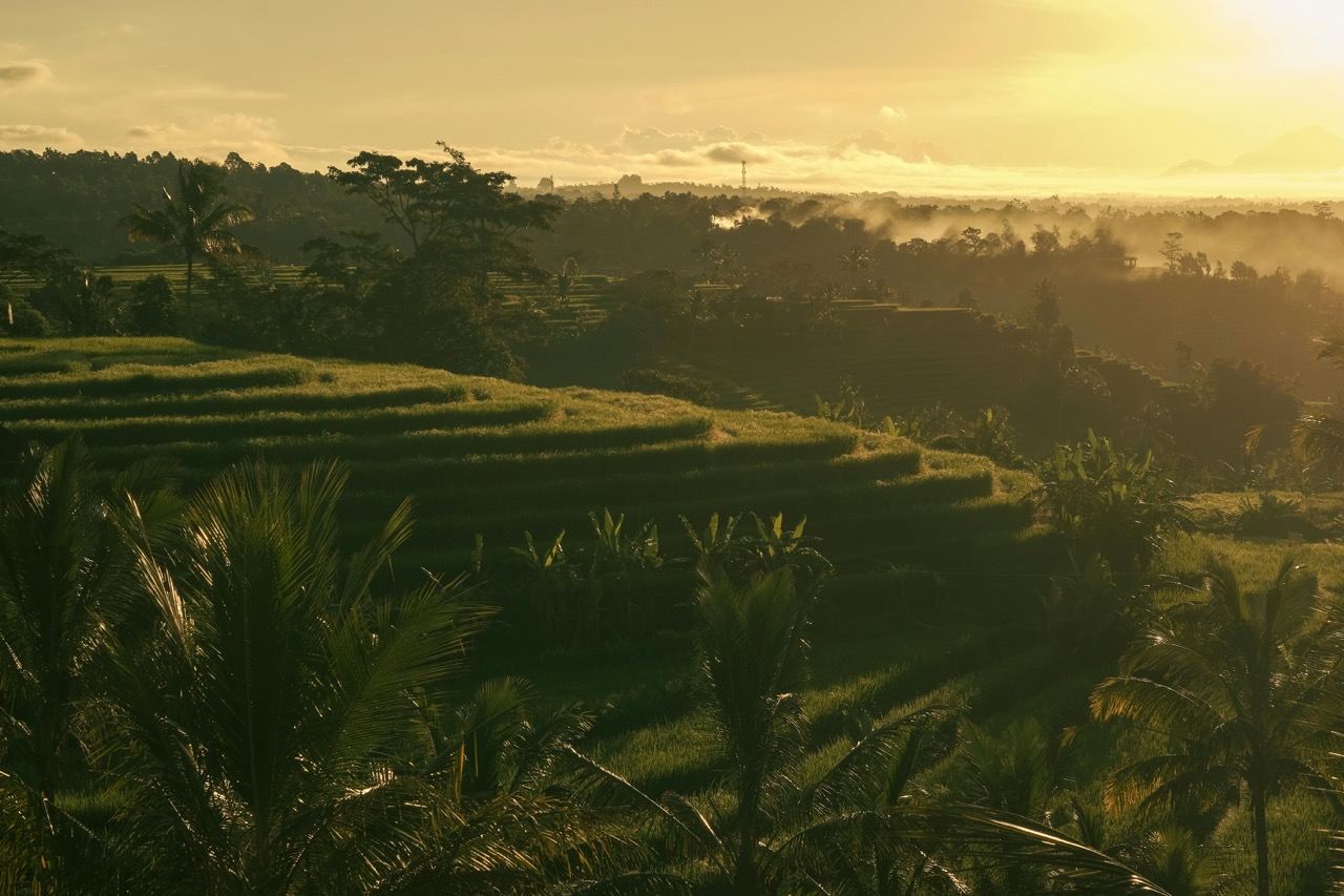 Entdecken Sie West-Bali: Tagesausflug zum Pura Tanah Lot, Ulun Danu & Reisterrassen