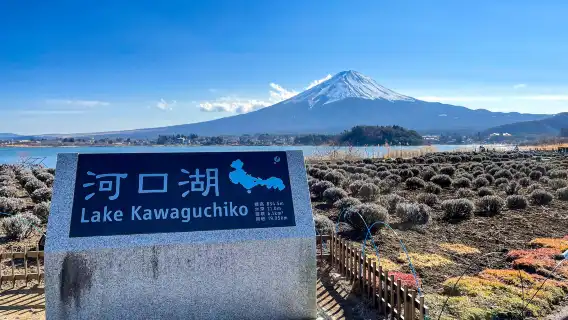 季節性富士美景&水果採摘&河口湖纜車