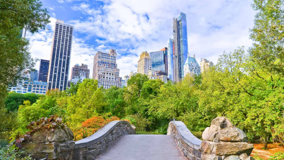 Day tour: New York University + Washington Square Park + The Metropolitan Museum of Art + Central Park