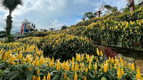 Cebu's Best: Highlands Guided Tour Temples, Gardens & Views