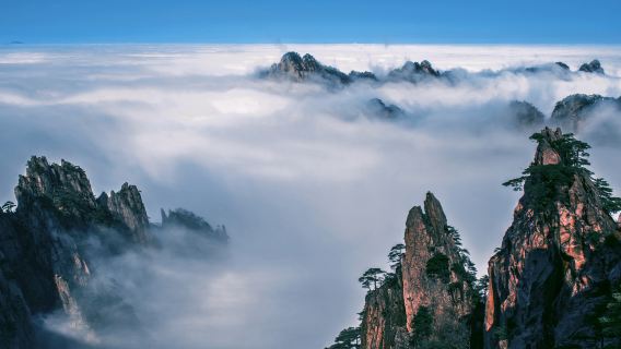 【迎客松專線】黃山+玉屏網紅下午茶一日遊|導遊+專車|純玩