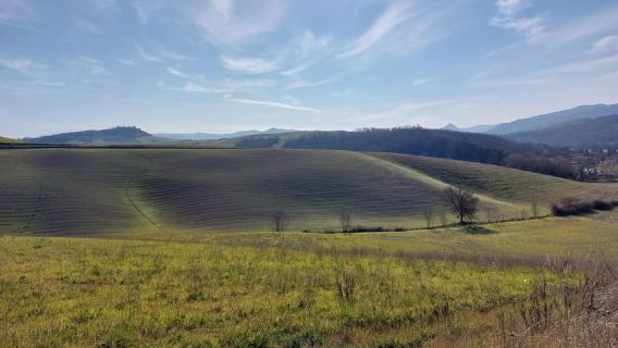 산 미니아토와 빌라 메디치 입장 및 마지막 브런치 포함