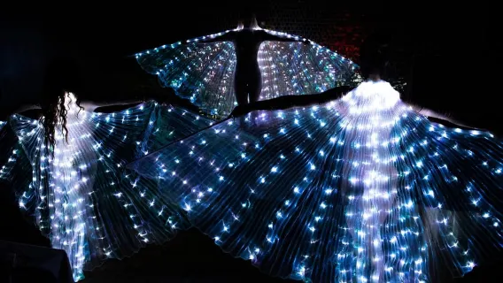 Milano: Maison Milano Dinner and Show