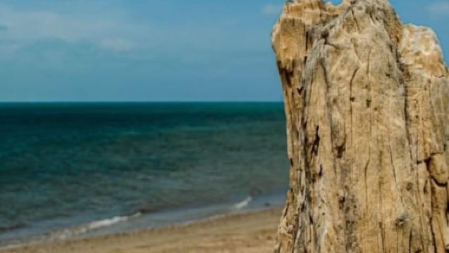 ลา กวาฮีรา: ทริปวันเดียวไปยังชายหาดคาโบ เด ลา เวลา