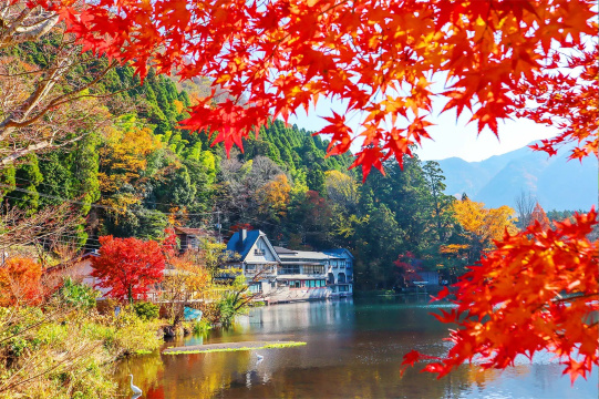 Kyushu Autumn Leaves Tour: Mifuneyama Rakuen + Yutoku Inari Shrine
