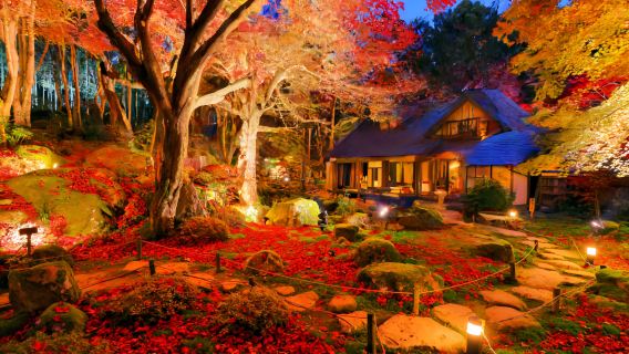 Japan Mount Hiei Enryaku-ji Temple + Omihachiman + Kyorinbo Temple Autumn Leaves Illumination 1-day tour