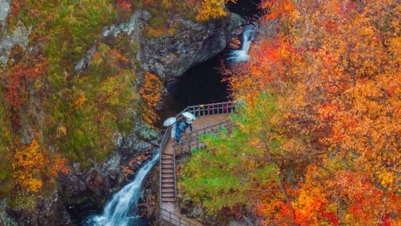 本溪水洞+小市一莊一日遊【高鐵遊|瀋陽出發|可選單程】