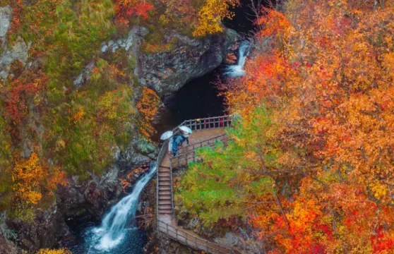 本溪水洞+小市一莊一日遊【高鐵遊|瀋陽出發|可選單程】