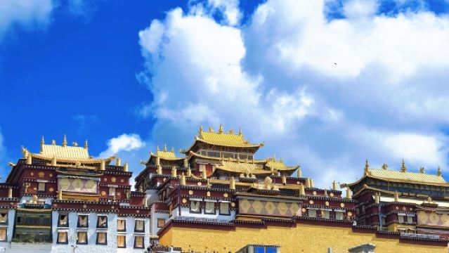 1-day tour to Potatso National Park + Songzanlin Monastery + Dukezong Ancient Town in Diqing, Yunnan with Chinese and English services