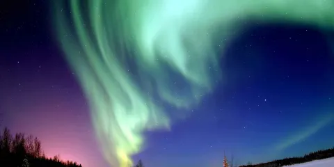 漠河北極村+鹿苑+北陲哨所+漠河舞廳一日遊(一單一團私家團)