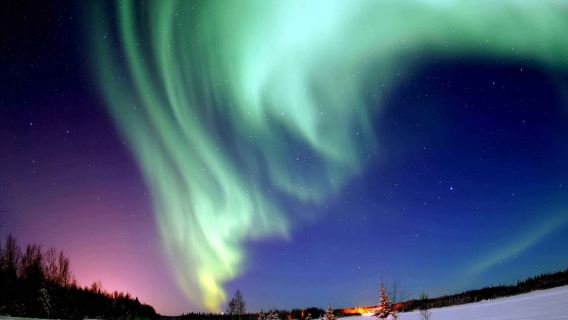 Mohe Arctic Village + Deer Park + Northern Frontier Watchhouse + Mohe Ballroom 1-day tour (private tour)