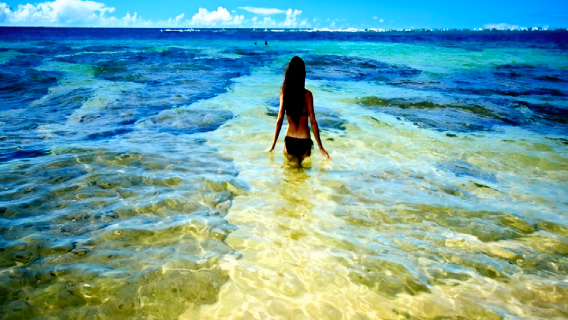 Excursiones de snorkel en 3 puntos en NUSA PENIDA con video gratis